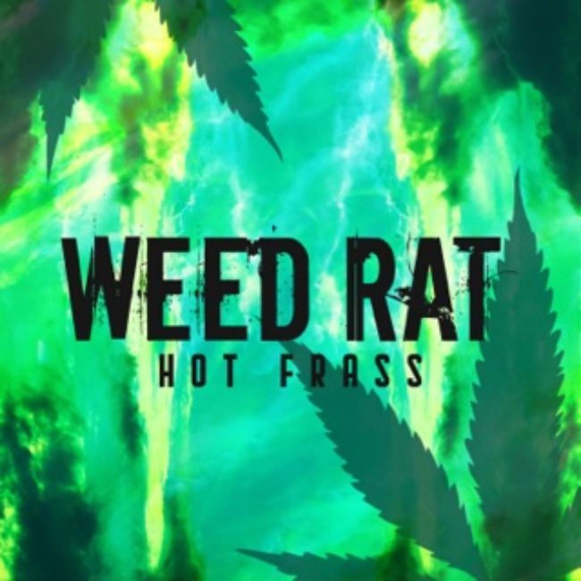 Watch Hot Frass-Weed Rat(Official Video)