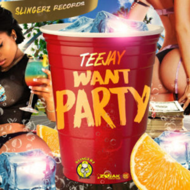 Teejay – Want Party – Slingerz Records